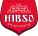 Hibso Logo